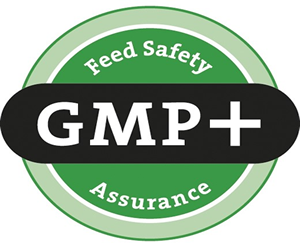 LOGO GMP